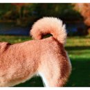 불리빌로우코리아센터 이미지