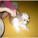 건강하자약국 이미지