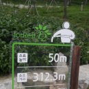 포레스트 12 자연휴양림 이미지