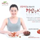 푸른솔애드