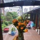 운남서로76번길 이미지