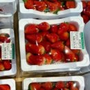 남원농업협동조합하나로마트고죽점 이미지