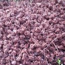 주공노래연습장 이미지