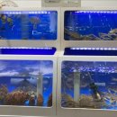 스끼다시천국횟집 이미지