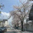 김효정미용실 이미지