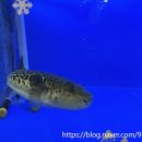 전주복집 이미지