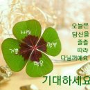 11월.22일.금요일.간추린 뉴스 이미지