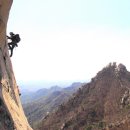 비둘기길 이미지