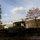 김영갑갤러리두모악 이미지