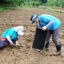 귀농농장 이미지