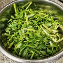 한미농장 | 봄동비빔밥보다 맛잇는 제철 돌미나리 요리 솔직후기! (YM 마켓)