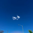 피트니스비원 | 토론토 D+20] 시내구경 | Basecamp Queen west 클라이밍, 비원 한식당, Queen Park, Universtiy of Toronto