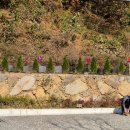 대암 팜트리 | 경남 진주｜대암팜트리｜새로 오픈해서 깨끗한 진주 키즈 캠핑장