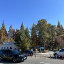 천년의 정원 | 늦가을 경주 단풍 필수 코스! 11월 천년숲문화정원 방문 후기 포토존 주차 버스