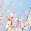 노들나루공원 이미지