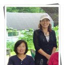 009-조리-009 이미지