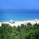 옥계해수욕장(숲) 이미지