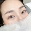 캣츠속눈썹