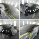 뉴대로자동차공업사 이미지