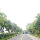 해모루자동차 | <제주도여행2박3일>파크선샤인 1박 후기&amp;올레시장통닭&amp;조식후기