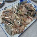 지중해회센타