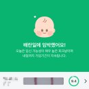 인공 + 자연 | 자연주기 인공수정 1회차 후기(송파 마리아)