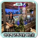 타이아시아마트 | 태국 방콕 왕궁 복장규정, 아속역 근처 코끼리바지 가격과 파는곳 (타이리듬)