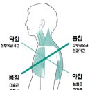 디오엠 이미지