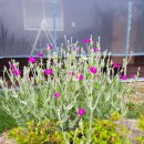 부운농장 이미지