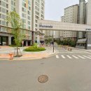 양지로·양지남로 이미지