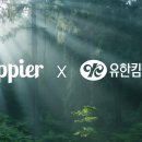 킴벌리솔루션 데이터넷