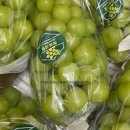 하늘사랑농원 이미지