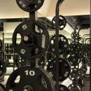 스포데이 휘트니스 이미지