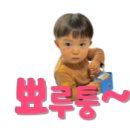 바로족발보쌈 이미지