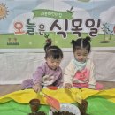 🌱바질 씨앗심기🌱 이미지