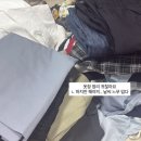 11545-02-08-68 | 봄 앞에 앉아 나는 여태