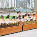 모모어린이집 이미지