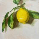 기초부터 완성까지, 색연필 스케치 이미지