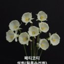 700310 Daum카페