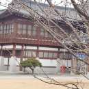 나불도 승마랜드 이미지