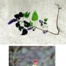 한국수자원공사 대청댐물문화관 이미지