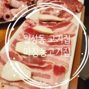 마장동고깃집 신월성점 | 월성동 고기맛집_술 값 저렴한 마장동고기집 내돈내산 솔직후기