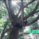 주식회사초원 이미지