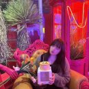해성카 | 부산여행[해운대밀면/씨앗호떡/스카이캡슐/카페드크래프트/해성막창/주남로]