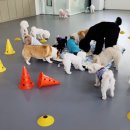 놀러왕왕왕 이미지