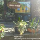 세개의 여유 이미지