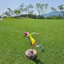 함평현대서비스 | 전남함평 대성 베르힐CC 베르힐골프텔 1박2일골프패키지 정보 라운딩 후기