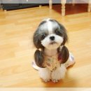 이쁨 Daum카페