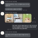 꼬모댕 프라이빗 애견호텔 | 꼬모댕 프라이빗 애견호텔 : 강아지 데이케어 프리미엄 호텔링