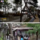 와룡칼국수 이미지